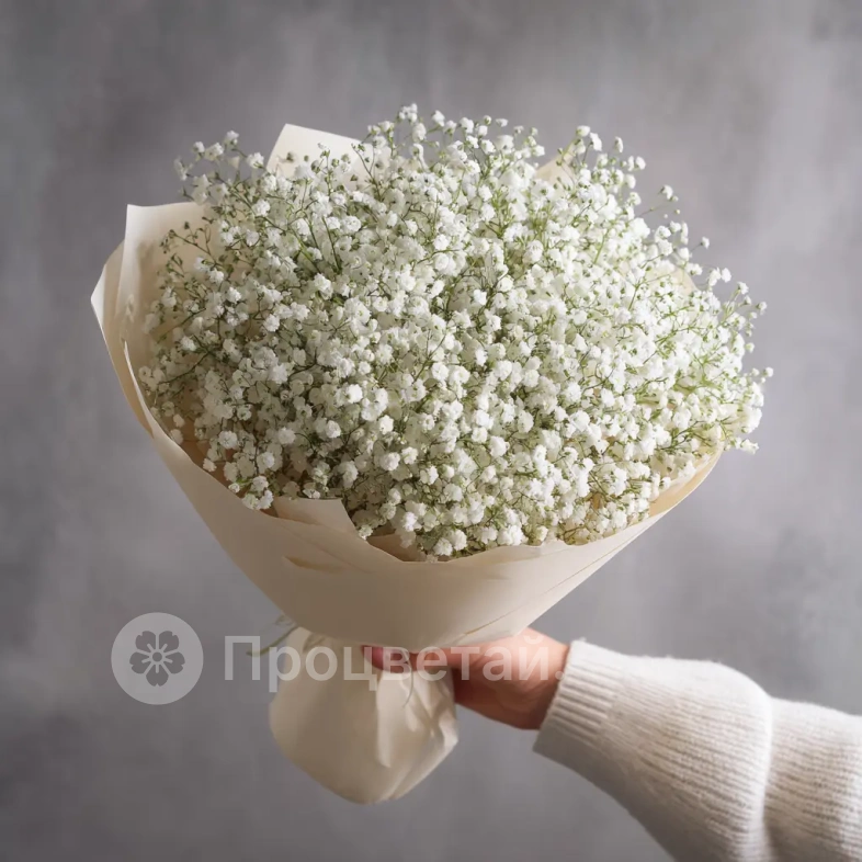 Монобукет из белой гипсофилы