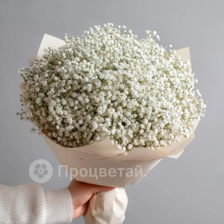 Монобукет из белой гипсофилы