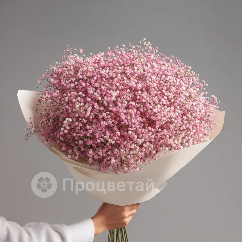 Монобукет из розовой гипсофилы