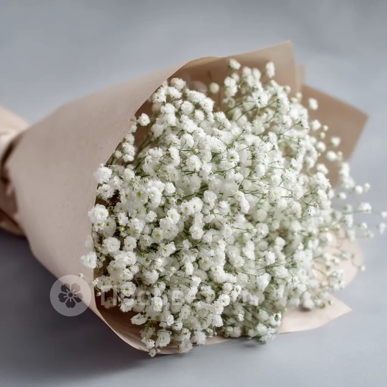 Монобукет из гипсофилы &laquo;Лёгкий штрих&raquo;