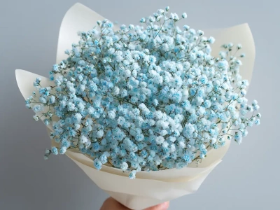 Монобукет из гипсофилы «Лунный свет»