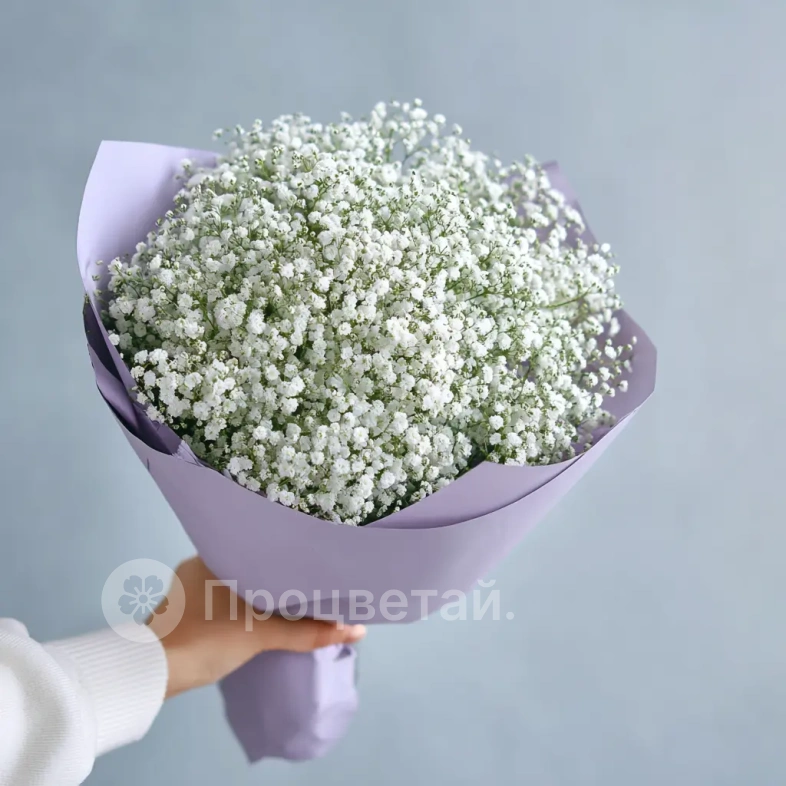 Монобукет из гипсофилы &laquo;Облачная нега&raquo;