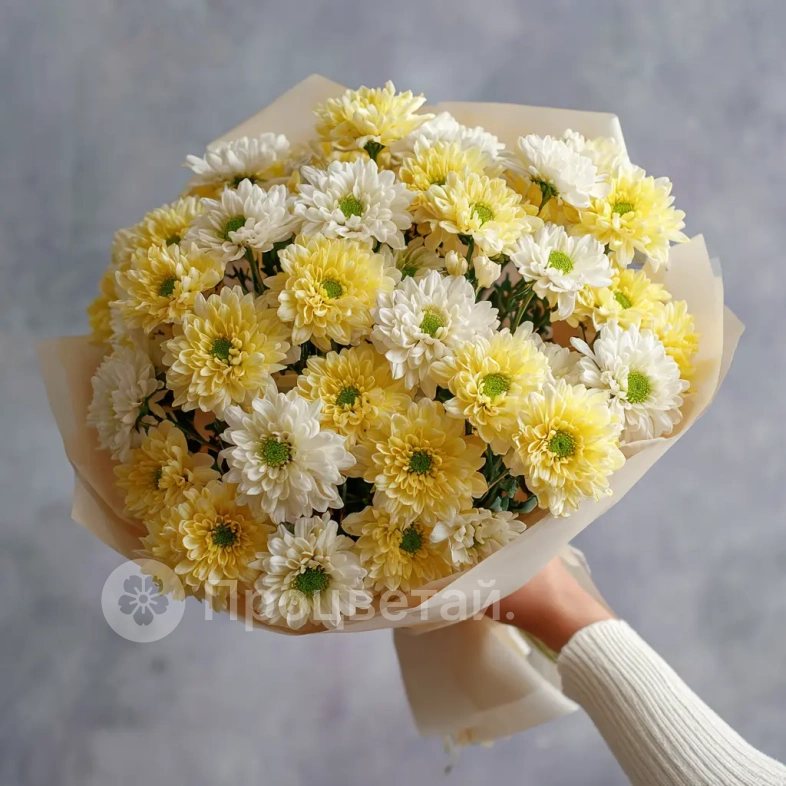 Монобукет из хризантем &laquo;Подарок сентября&raquo;