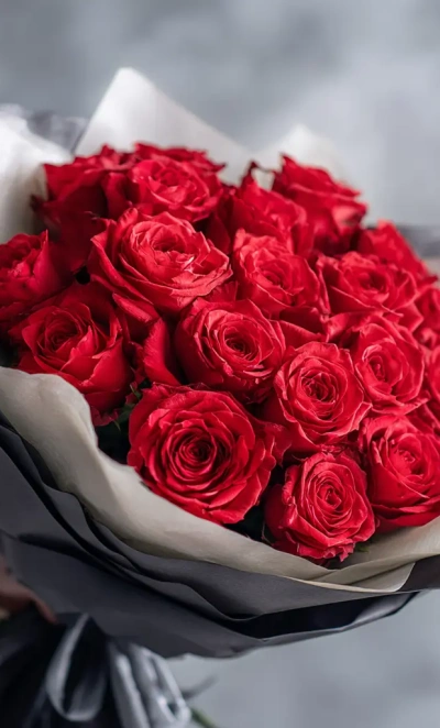 Красные розы «Поцелуй заката»