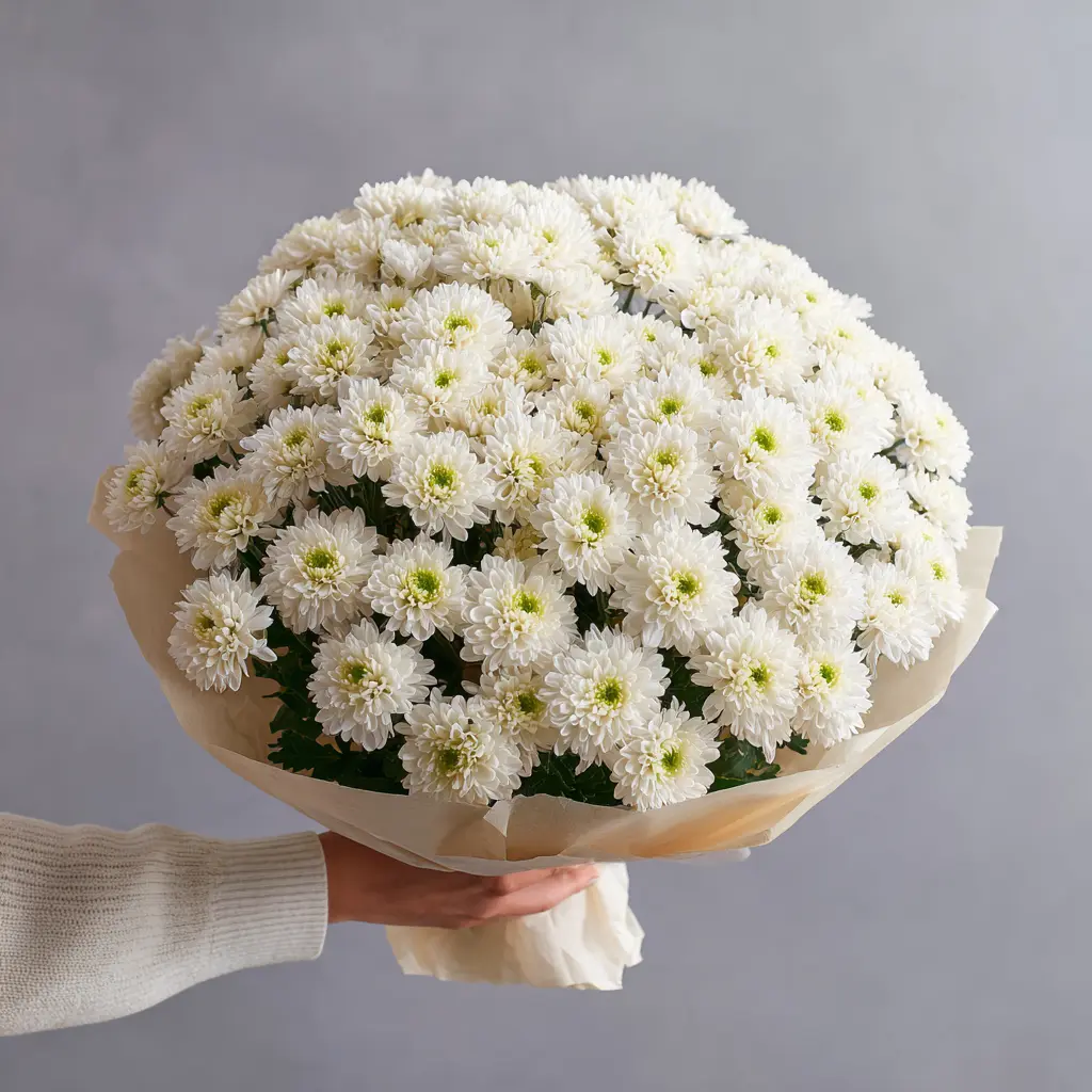 Монобукет из хризантем «Белое облако»